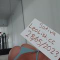 Sativa is Female Escorts. | Vancouver | British Columbia | Canada | escortsaffair.com 