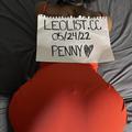 PENNY is Female Escorts. | Toronto | Ontario | Canada | escortsaffair.com 