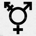 Kasey Kai is Trans-woman Escorts. | Honolulu | Hawaii | United States | escortsaffair.com 