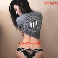 Victoria is Female Escorts. | Vaughan | Ontario | Canada | escortsaffair.com 