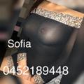 Sofia is Female Escorts. | Adelaide | Australia | Australia | escortsaffair.com 