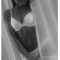 Star Taylor is Female Escorts. | Red Deer | Alberta | Canada | escortsaffair.com 