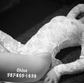 Chloe (miniegg) is Female Escorts. | Calgary | Alberta | Canada | escortsaffair.com 