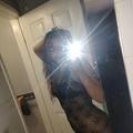 Diamond is Female Escorts. | Red Deer | Alberta | Canada | escortsaffair.com 