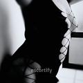 Harmony is Female Escorts. | Hamilton | New Zealand | New Zeland | escortsaffair.com 