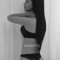 Fendi is Female Escorts. | Hamilton | New Zealand | New Zeland | escortsaffair.com 