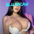 Blu Macaw is Female Escorts. | Phoenix | Arizona | United States | escortsaffair.com 