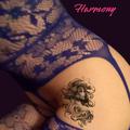 Harmony is Female Escorts. | Winnipeg | Manitoba | Canada | escortsaffair.com 