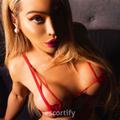 TRANS AMERICAN DEE is Female Escorts. | Wellington | New Zealand | New Zeland | escortsaffair.com 