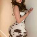 Alexis is Female Escorts. | Lafayette | Louisiana | United States | escortsaffair.com 