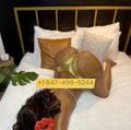 Stella is Female Escorts. | Toronto | Ontario | Canada | escortsaffair.com 