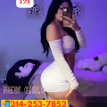 Estudio 121 is Female Escorts. | Dallas | Texas | United States | escortsaffair.com 