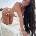 Dreamy Draw is Female Escorts. | Phoenix | Arizona | United States | escortsaffair.com 