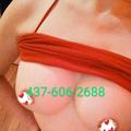 Yoyo is Female Escorts. | Toronto | Ontario | Canada | escortsaffair.com 