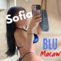 BLU MACAW FOOT is Female Escorts. | Phoenix | Arizona | United States | escortsaffair.com 