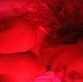 
                        Stephanie
                     is Female Escorts. | Calgary | Alberta | Canada | escortsaffair.com 