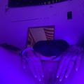 
                        LISAELISABETH
                     is Female Escorts. | Moncton | New Brunswick | Canada | escortsaffair.com 