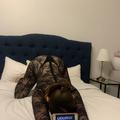 
                        Cendrillon
                     is Female Escorts. | Quebec City | Quebec | Canada | escortsaffair.com 