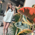 Lucy is Female Escorts. | Chatham | Ontario | Canada | escortsaffair.com 