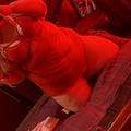 Sophiejae05 is Female Escorts. | Newcastle | Australia | Australia | escortsaffair.com 