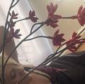 
                        sinderella
                     is Female Escorts. | Ft Mcmurray | Alberta | Canada | escortsaffair.com 
