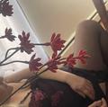 
                        sinderella
                     is Female Escorts. | Ft Mcmurray | Alberta | Canada | escortsaffair.com 