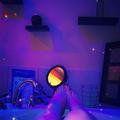 
                        Charlotte Starr Playmate
                     is Female Escorts. | Skeena | British Columbia | Canada | escortsaffair.com 