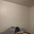 
                        Lulu - Barrie outcall
                     is Female Escorts. | Barrie | Ontario | Canada | escortsaffair.com 