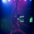 
                        Exotic Angels
                     is Female Escorts. | Barrie | Ontario | Canada | escortsaffair.com 