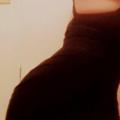 
                        Katie kush
                     is Female Escorts. | Niagara | Ontario | Canada | escortsaffair.com 
