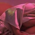 
                        Lola - CASH!!
                     is Female Escorts. | Fredericton | New Brunswick | Canada | escortsaffair.com 