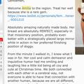 
                        Amilia
                     is Female Escorts. | London | Ontario | Canada | escortsaffair.com 
