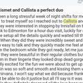 
                        CallistaCarter  KatKismet
                     is Female Escorts. | Skeena | British Columbia | Canada | escortsaffair.com 