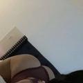 
                        Myla
                     is Female Escorts. | windsor | Ontario | Canada | escortsaffair.com 