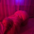  is Female Escorts. | Tyler | Texas | United States | escortsaffair.com 