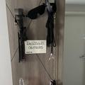 
                        Treasure
                     is Female Escorts. | Burlington | Ontario | Canada | escortsaffair.com 