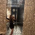 
                        MISSELLADAMOUR.COM
                     is Female Escorts. | Winnipeg | Manitoba | Canada | escortsaffair.com 