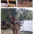 Roseville Rose Brothel is Female Escorts. | Sydney | Australia | Australia | escortsaffair.com 