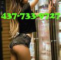 
                        OUTCALL Asian Party Girls
                     is Female Escorts. | Vaughan | Ontario | Canada | escortsaffair.com 