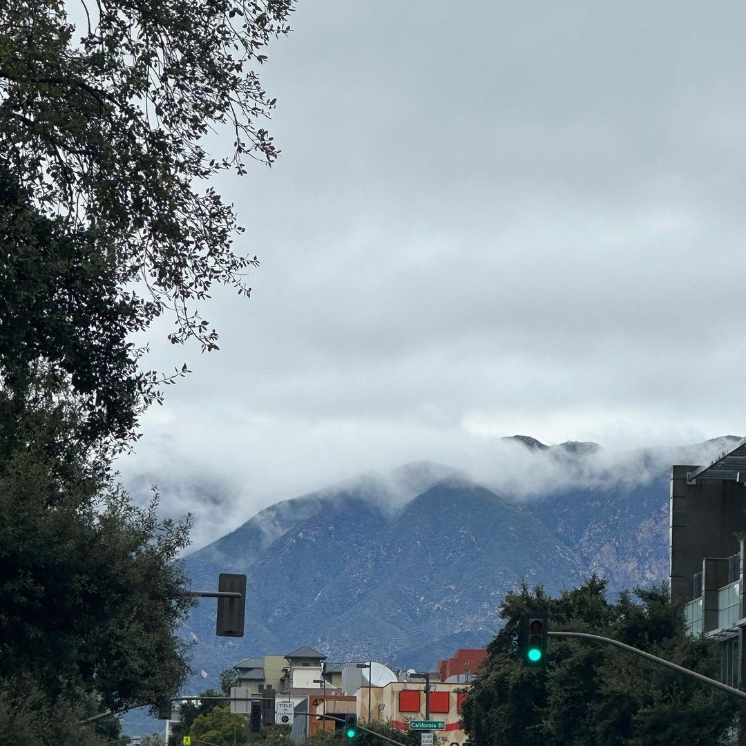 Jane is Female Escorts. | Fairfield | New York | United States | escortsaffair.com 