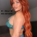 
                        Alicia
                     is Female Escorts. | Edmonton | Alberta | Canada | escortsaffair.com 