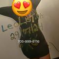 
                        BunnyXo.(Cash Only)
                     is Female Escorts. | Sault Ste Marie | Ontario | Canada | escortsaffair.com 