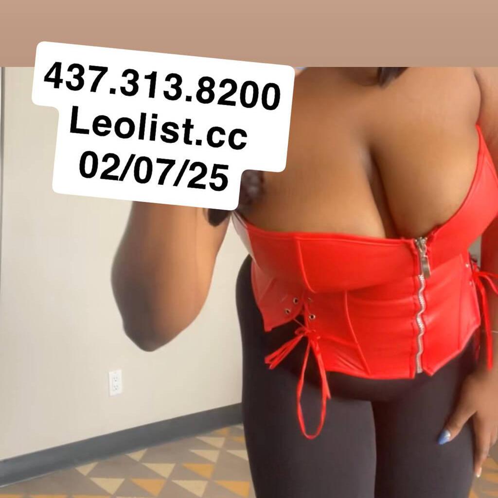 
                        Mscandii
                     is Female Escorts. | Chatham | Ontario | Canada | escortsaffair.com 