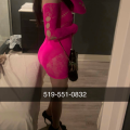 dream cartier is Female Escorts. | Vaughan | Ontario | Canada | escortsaffair.com 