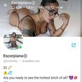 
                        Escorpiana
                     is Female Escorts. | St. John | New Brunswick | Canada | escortsaffair.com 