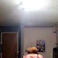 
                        Ginger
                     is Female Escorts. | windsor | Ontario | Canada | escortsaffair.com 