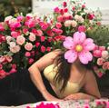 
                        Hanna
                     is Female Escorts. | Kingston | Ontario | Canada | escortsaffair.com 