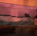 
                        Clara
                     is Female Escorts. | Montreal | Quebec | Canada | escortsaffair.com 