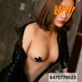 lesley is Female Escorts. | Toronto | Ontario | Canada | escortsaffair.com 