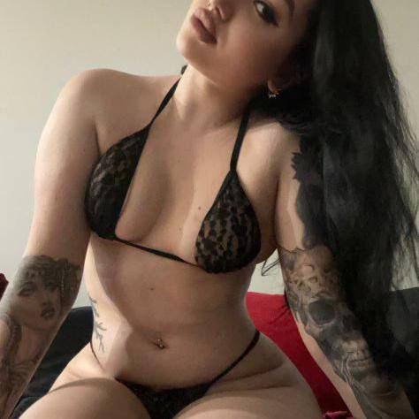  is Female Escorts. | Sarasota / Bradenton | Florida | United States | escortsaffair.com 